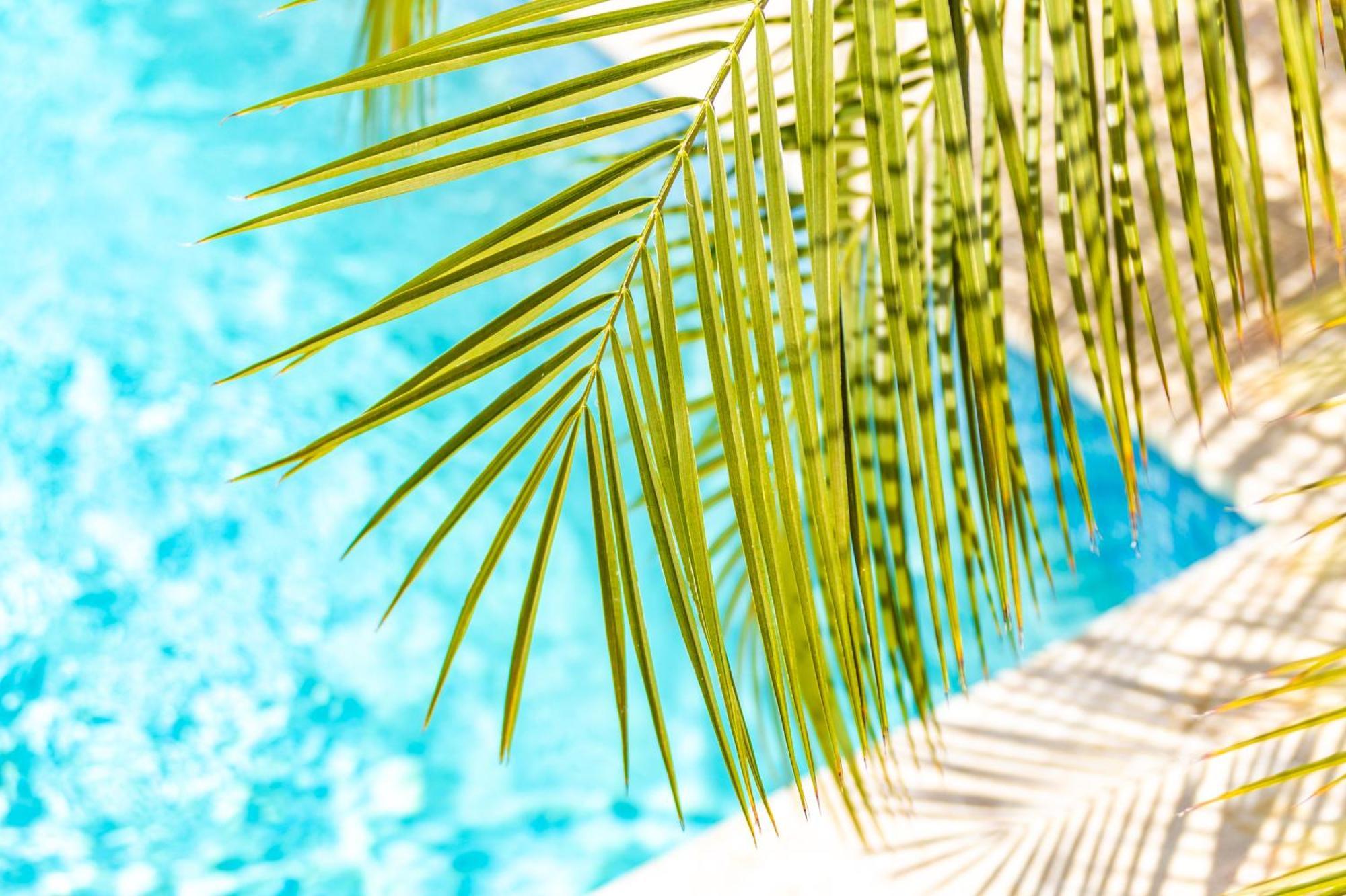Paradise Apartments - Curacao Fontein エクステリア 写真